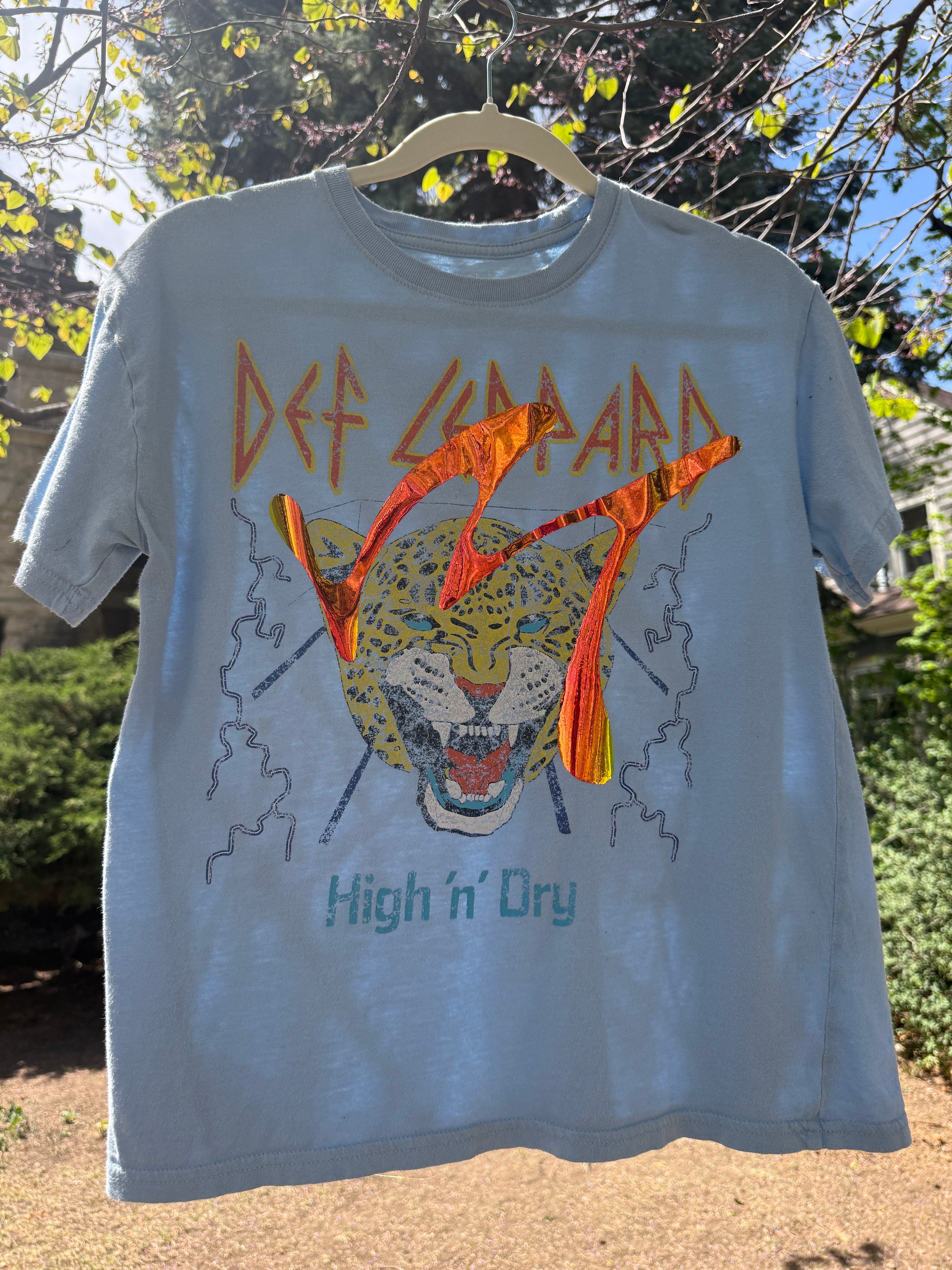 Def Leppard upcycled