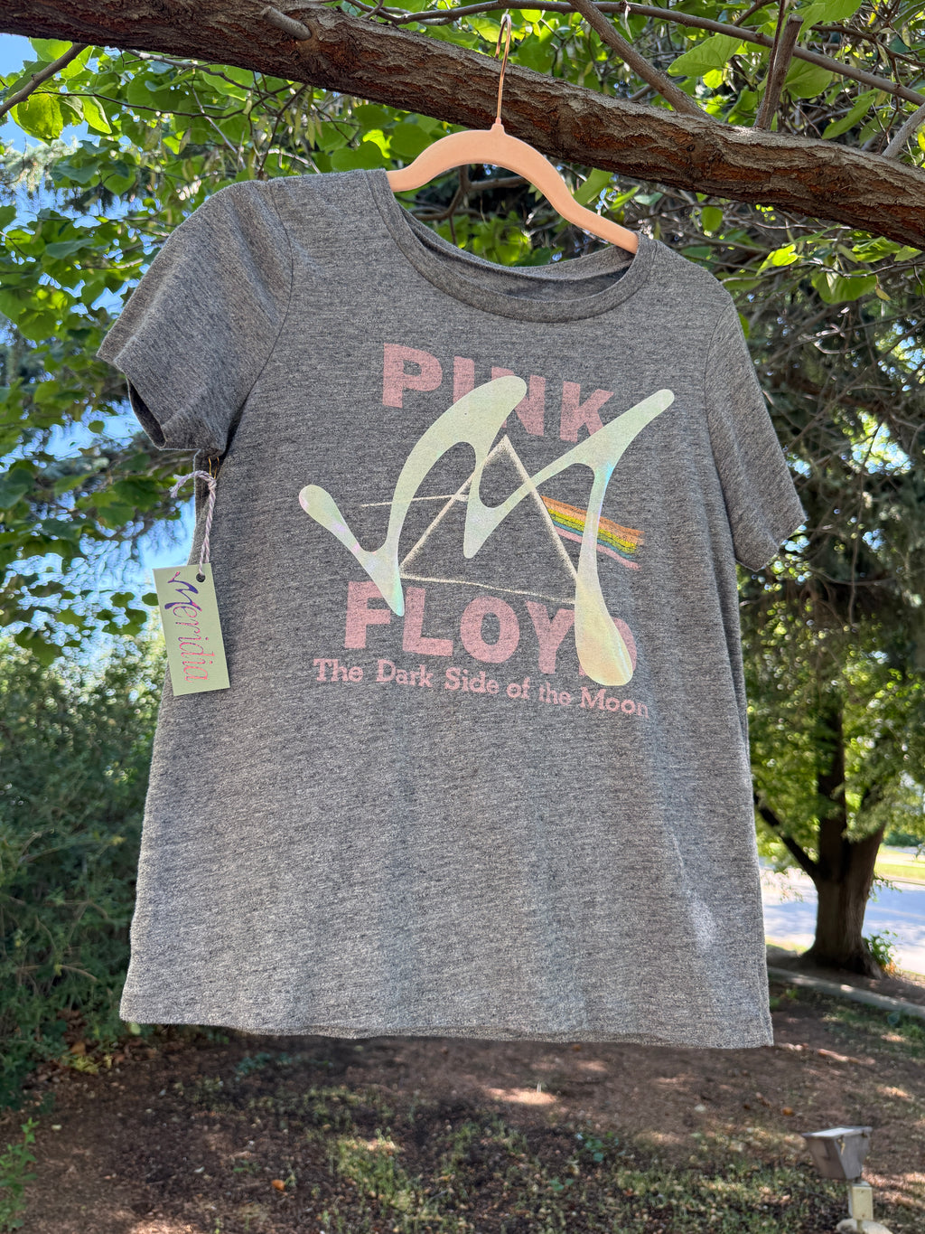 Pink Floyd X Meridia