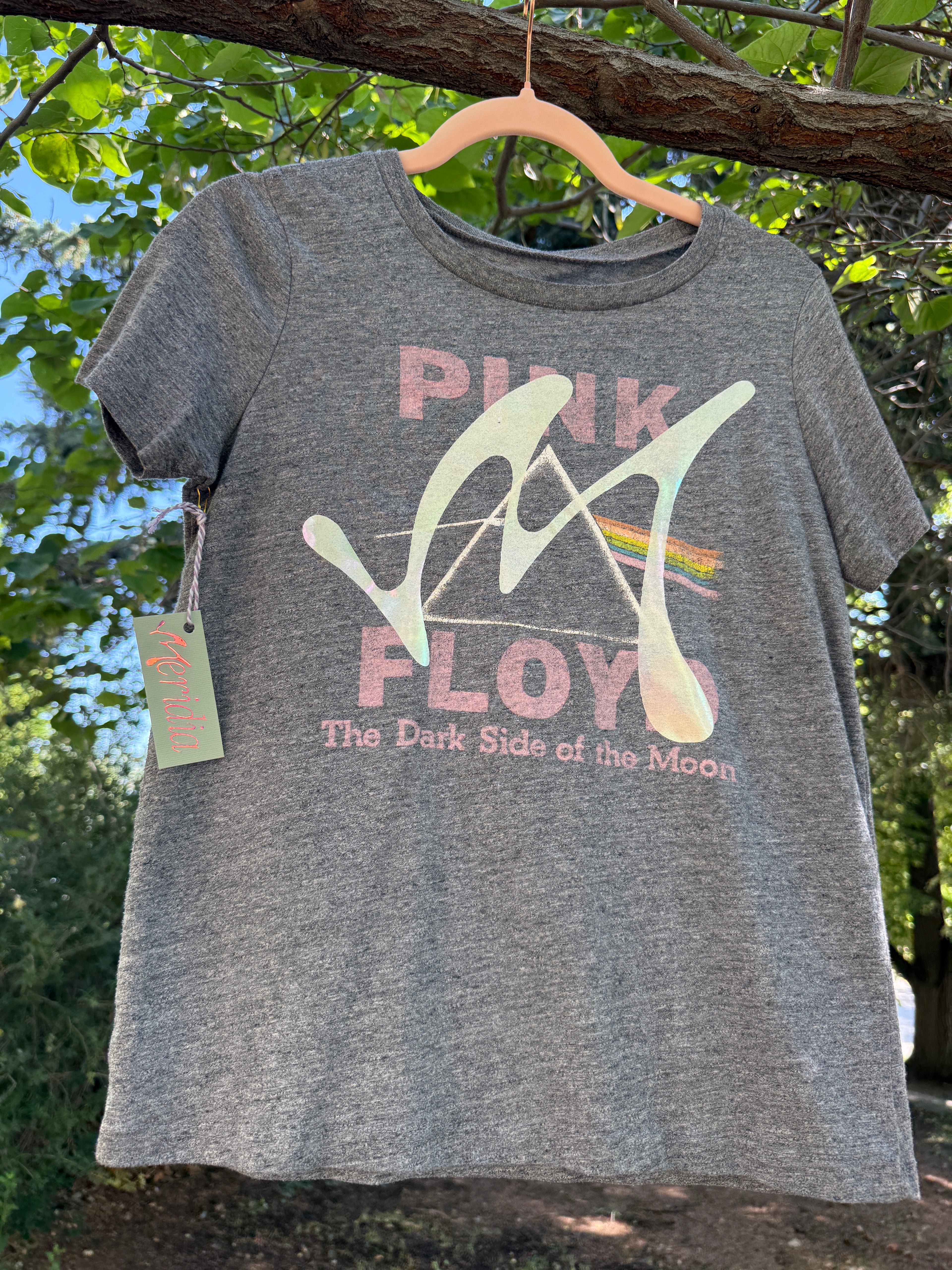 Pink Floyd X Meridia